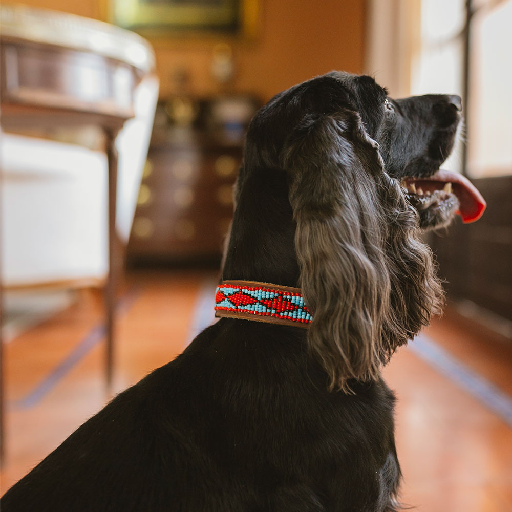 Guinea Dog Collar - Image 2