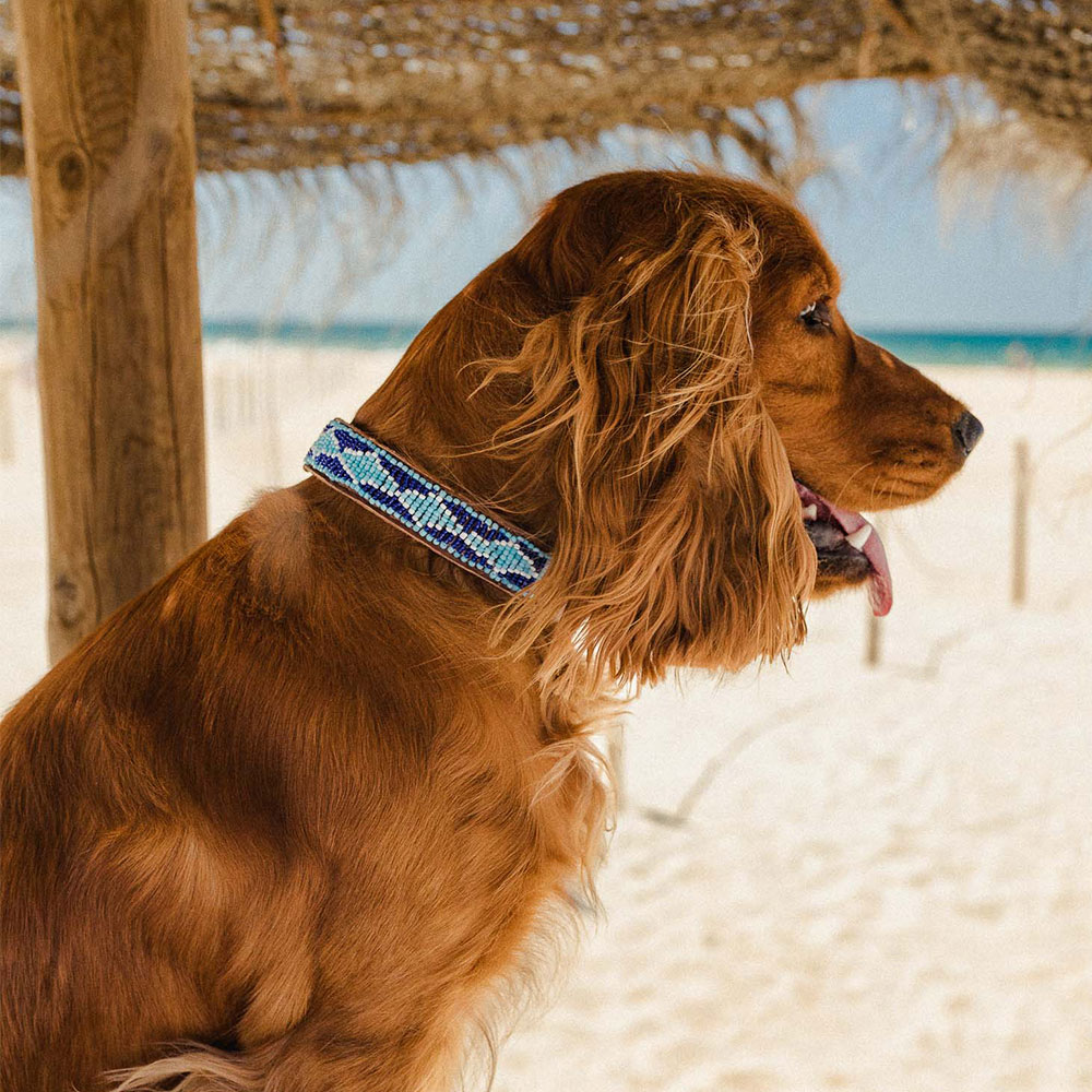 Madagascar Dog Collar - Image 2