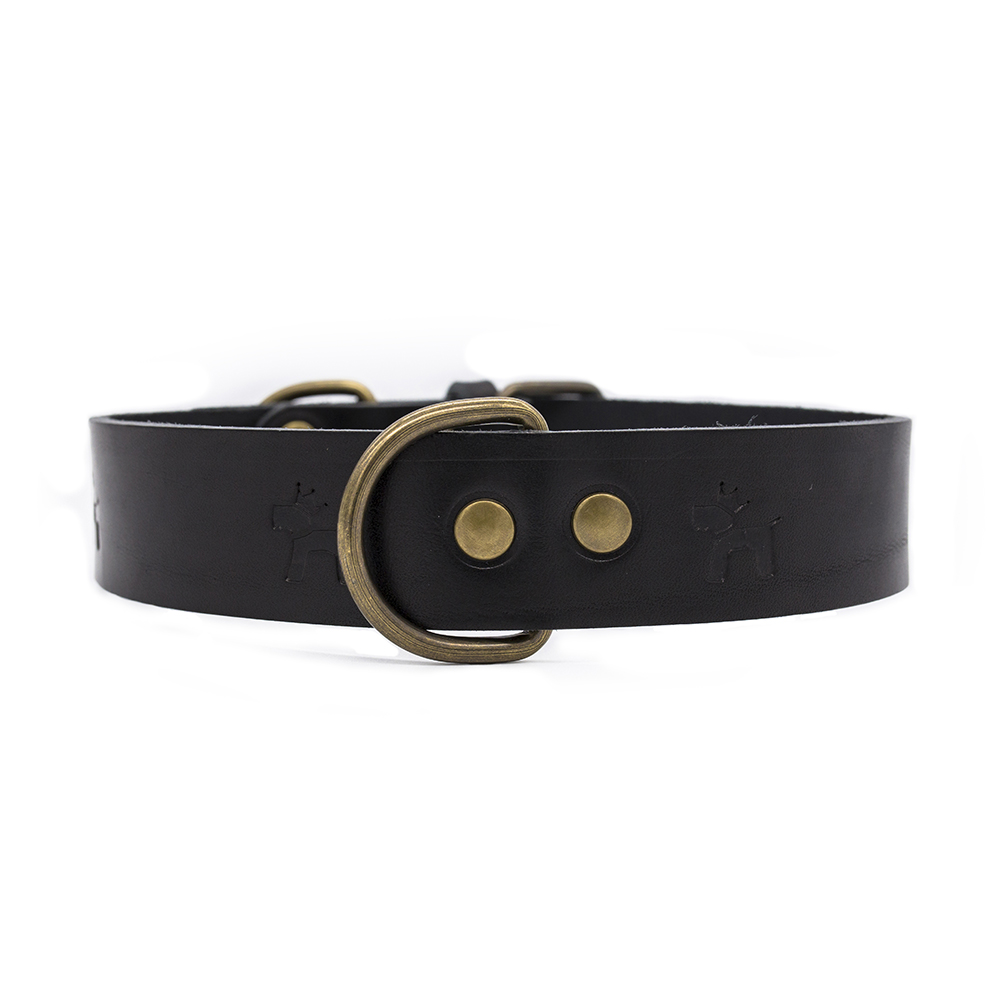 Black Premium Leather Dog Collar