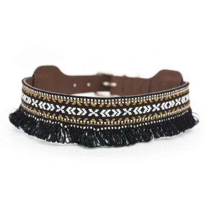 Collar para perros Dante