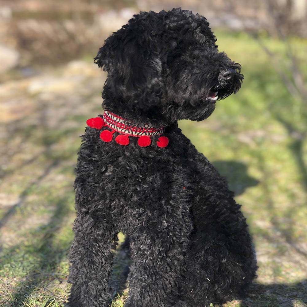 Collier Frida - Image 6