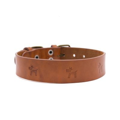 Collar para perros Cuero Premium Clasic