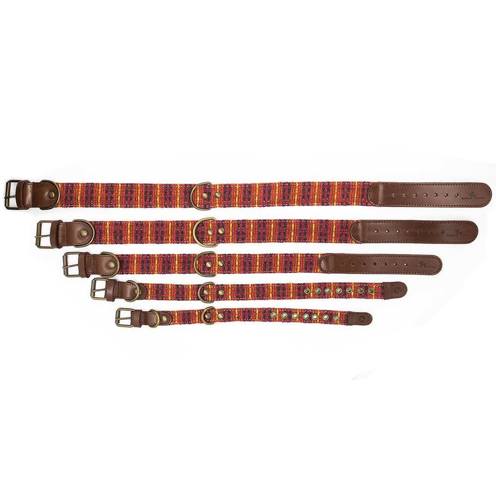 Collar para perros Luca - Image 4