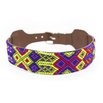 Collar para perros Taco