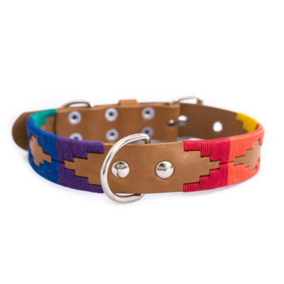 Tito Dog Collar