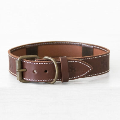 Flea Control Dog Collar