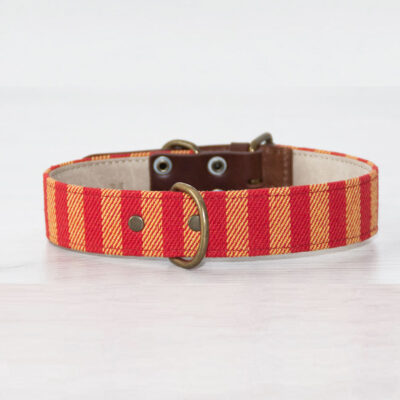 Hispania Dog Collar