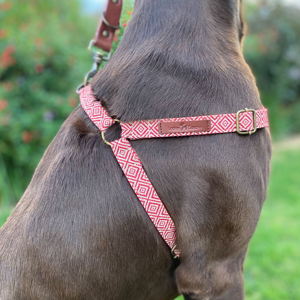 Mambo Harness - Image 4
