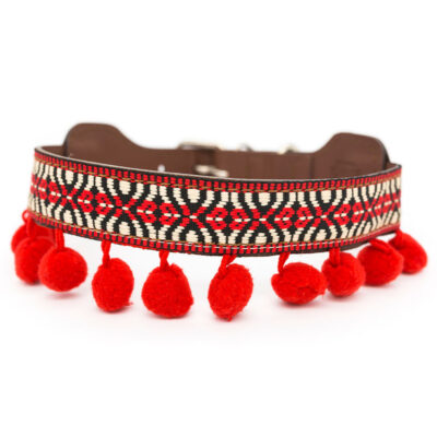 Collar para perros Frida