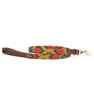 Correa para perros Scooby