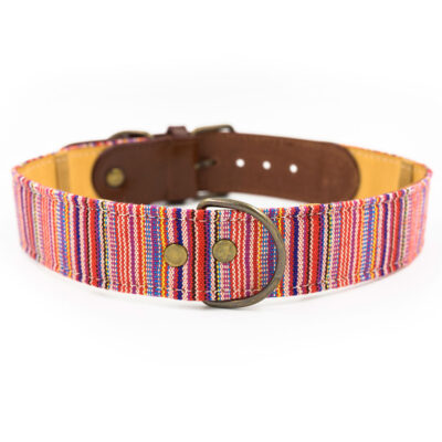 Collar para perros Toby
