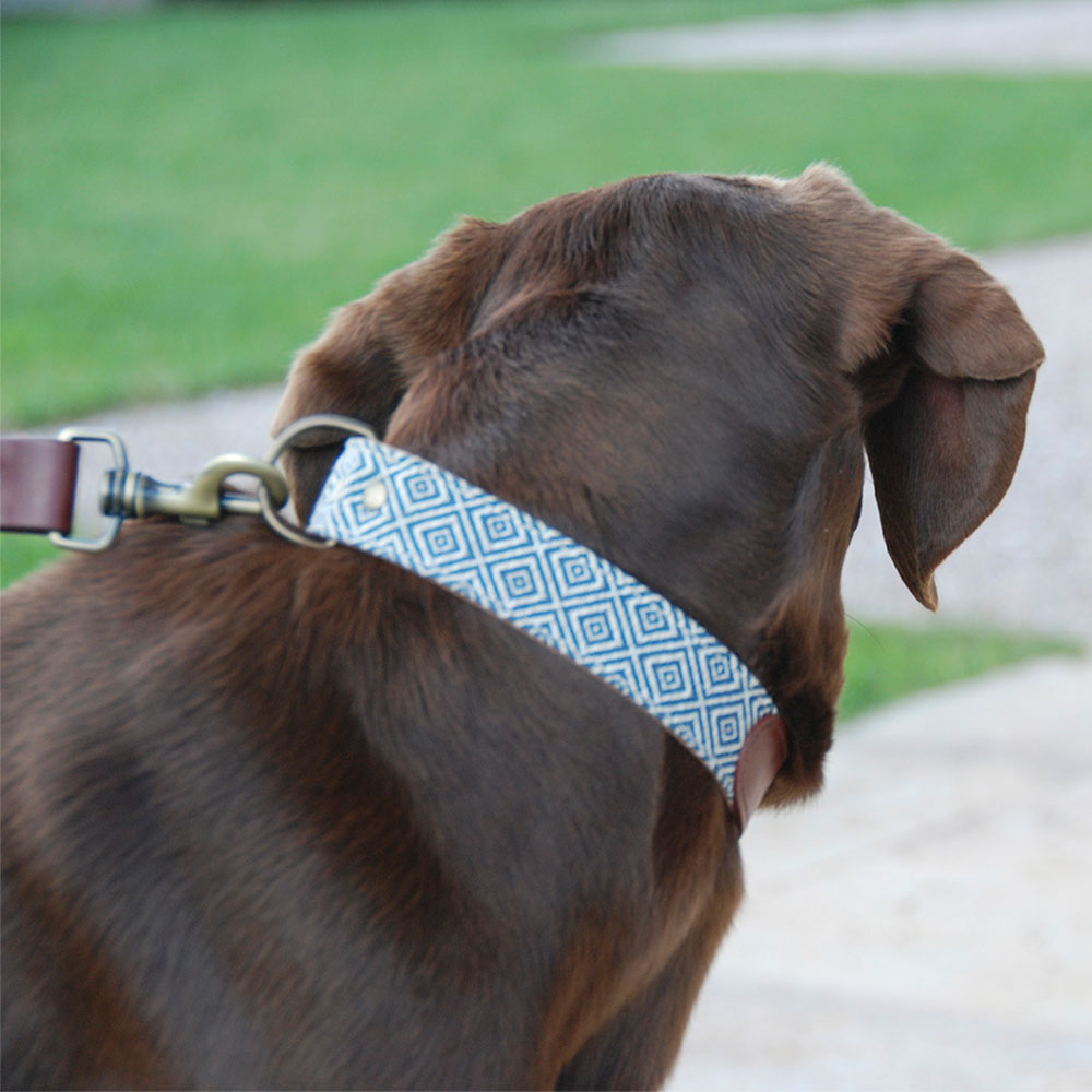 Collar para perros Dalton - Image 2