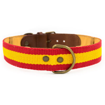 Collar para perros España