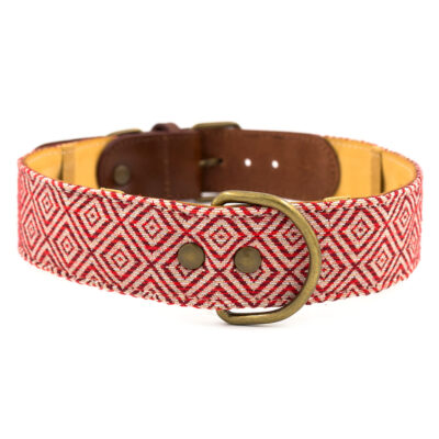 Collar para perros Mambo