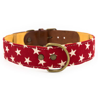 Nana Dog Collar