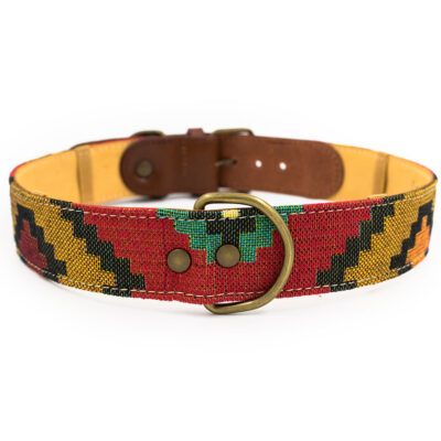 Scooby Dog Collar