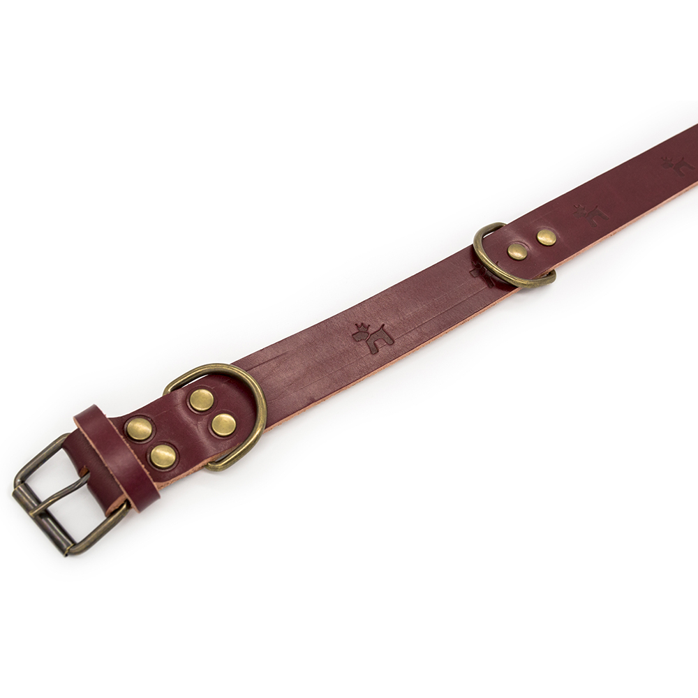 Collar para perros Cuero Premium Cereza - Image 3