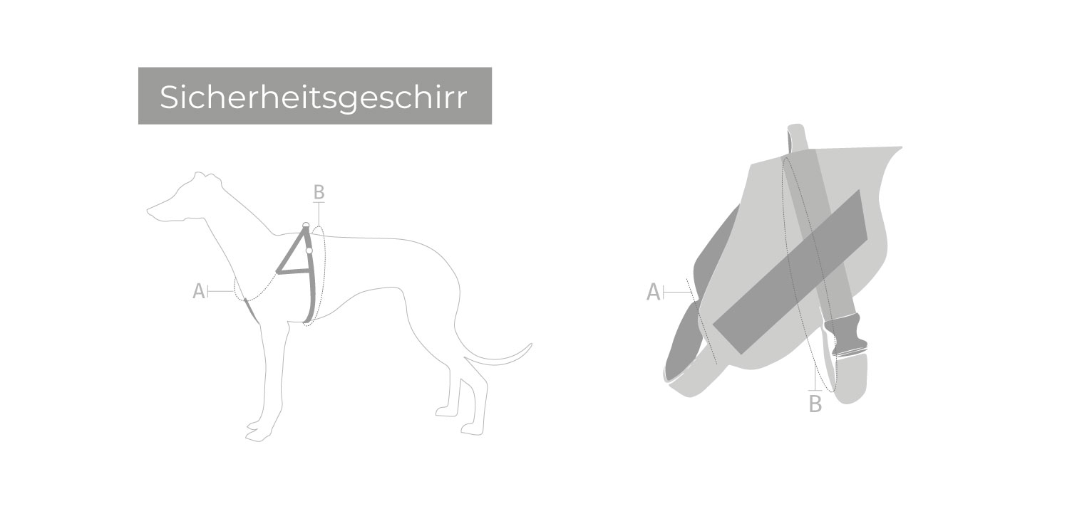 Mambo Sicherheitsgeschirr