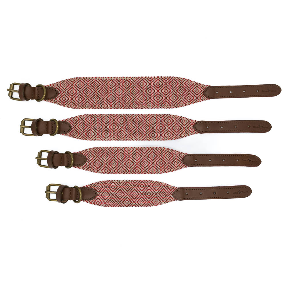 Collar para perros Mambo Galgo - Image 4