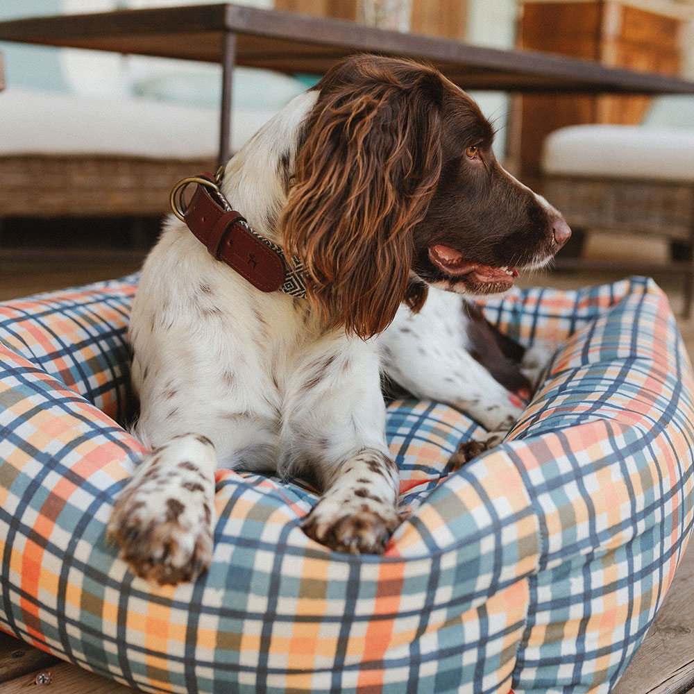 Picasso Waterproof Bed - Image 4