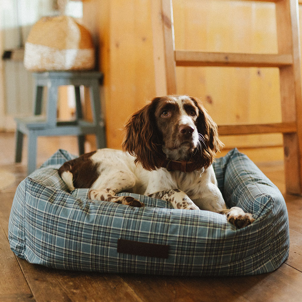 Blue Tartan Waterproof Bed - Image 2