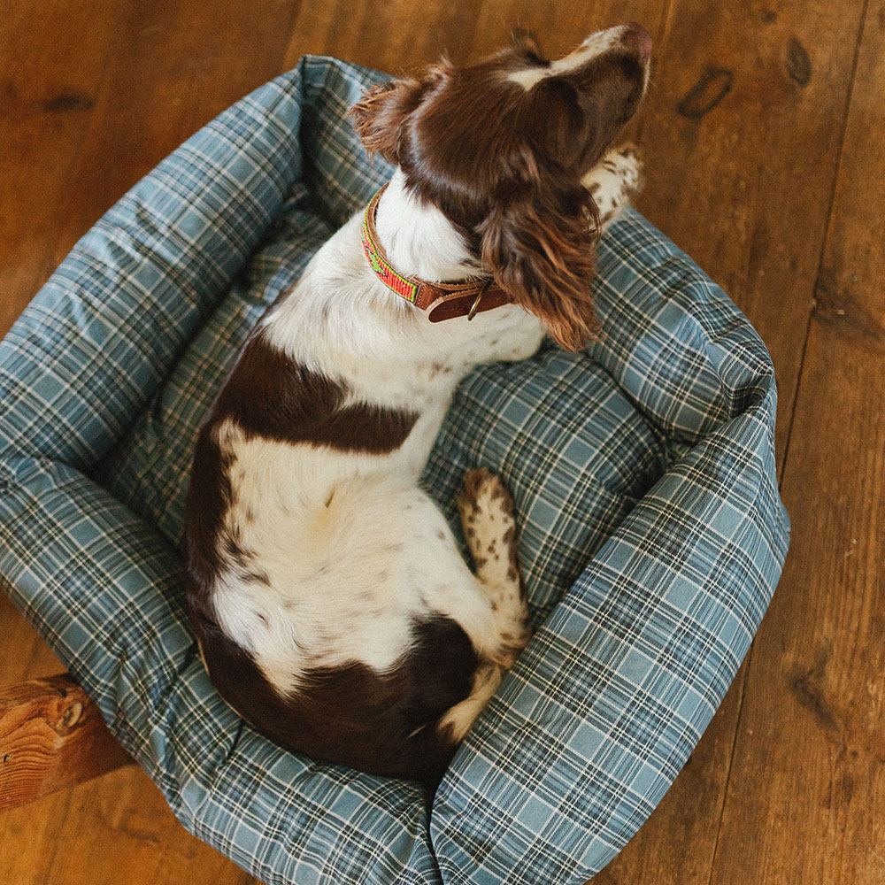 Blue Tartan Waterproof Bed - Image 3