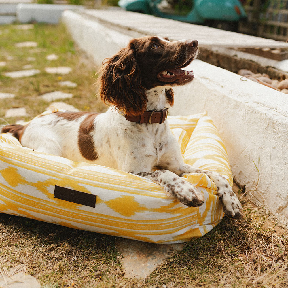 Cama para perros Impermeable Ibiza - Image 2