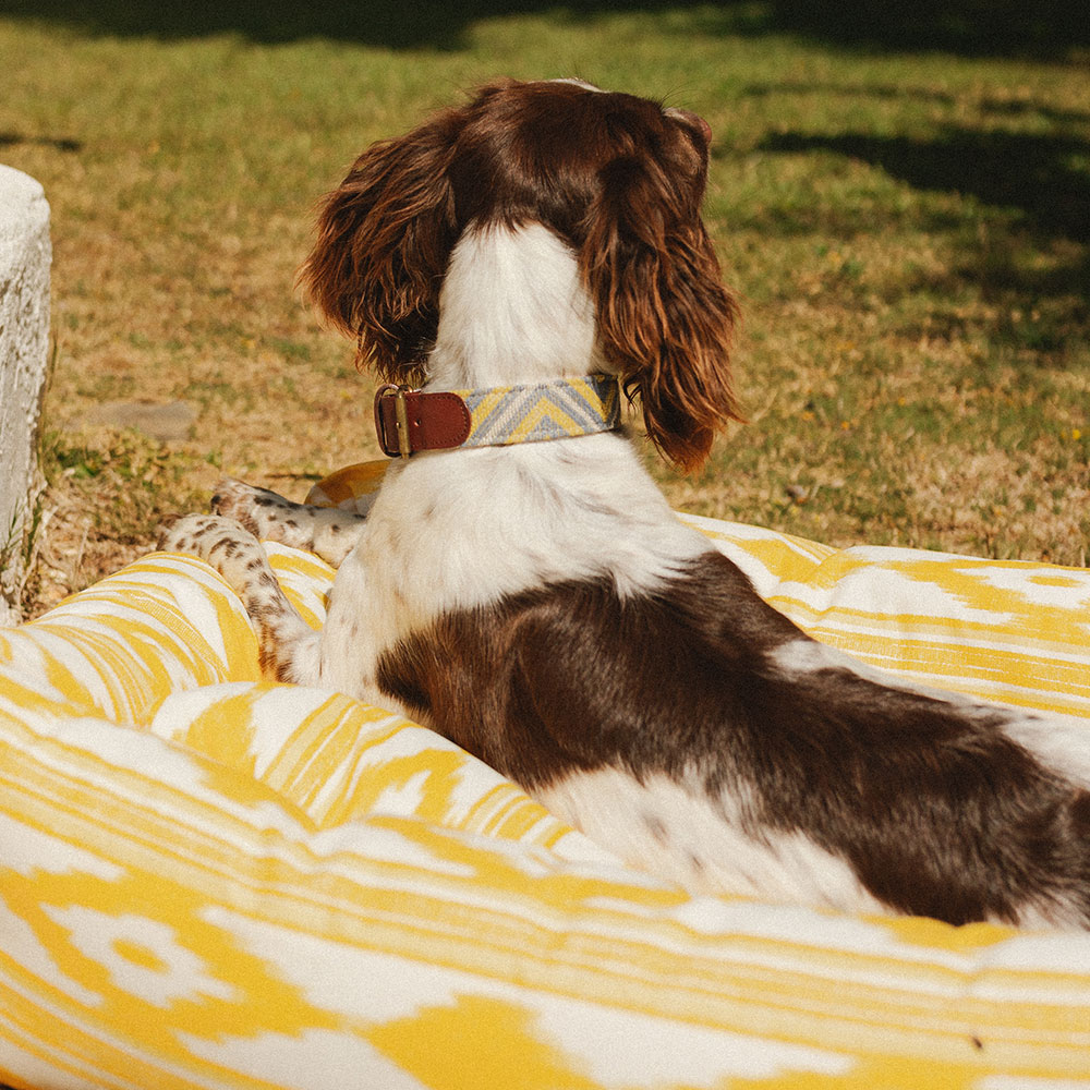Cama para perros Impermeable Ibiza - Image 3