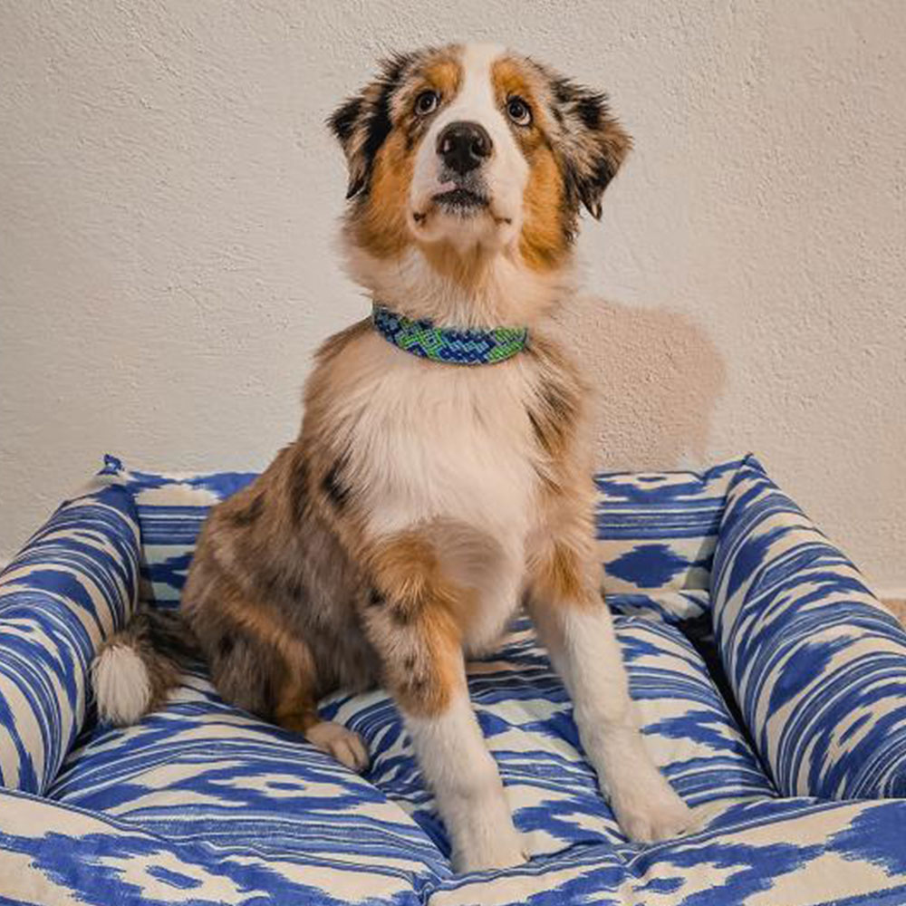 Cama para perros Impermeable Mallorca - Image 4