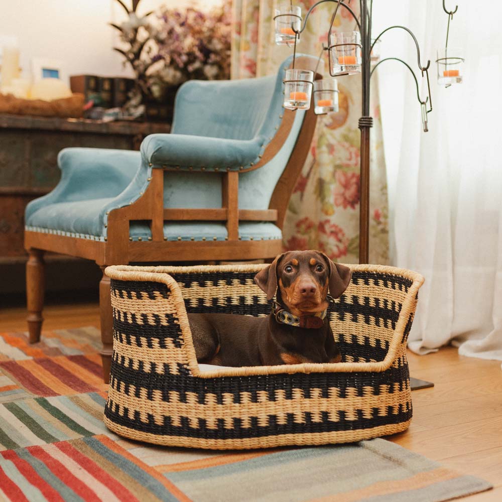 Cama para perros Cesta Pumba - Image 3