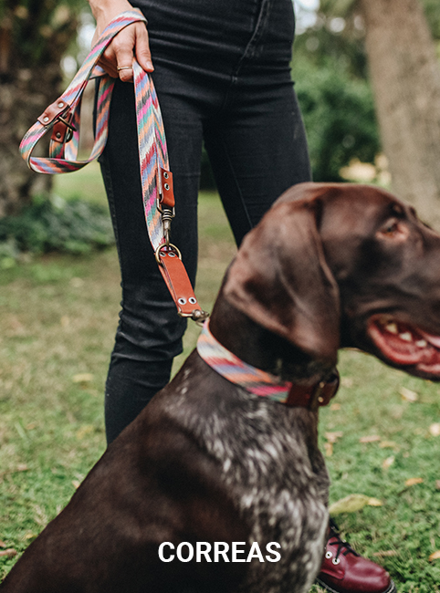 Correas perro ladran gaucho