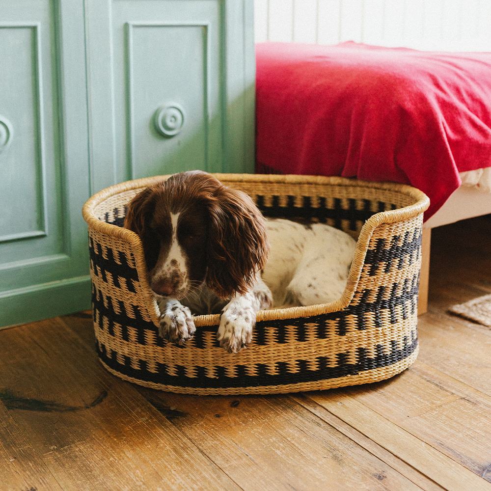 Cama para perros Cesta Pumba - Image 5