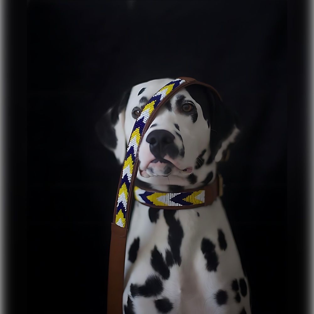 Collar para perros Safari - Image 2