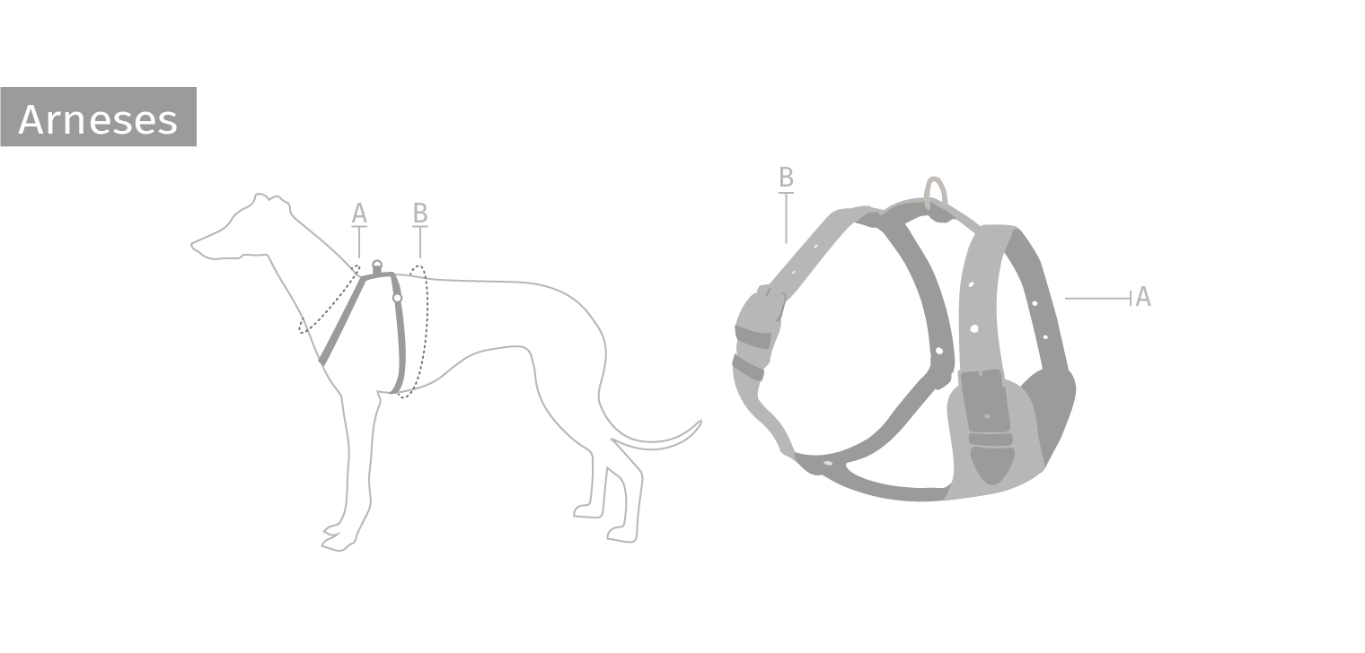 Arnés para perros Órale