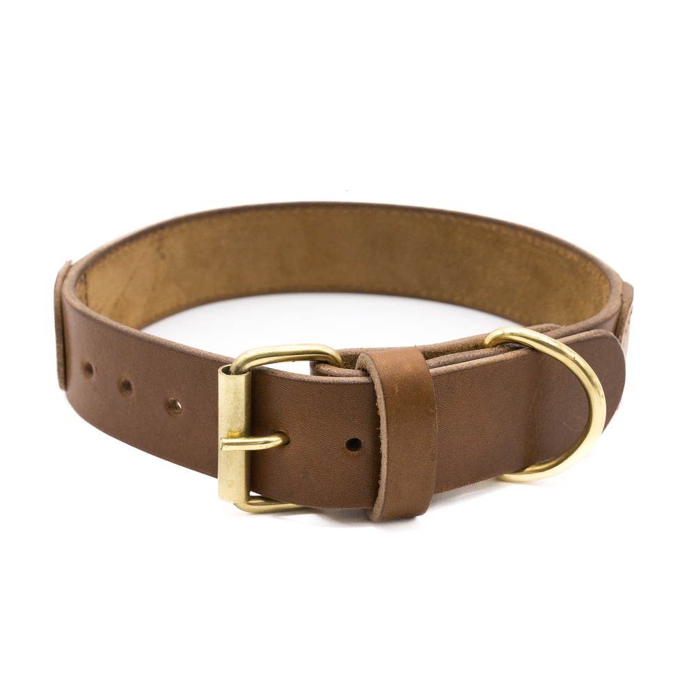Collar para perros Safari - Image 5