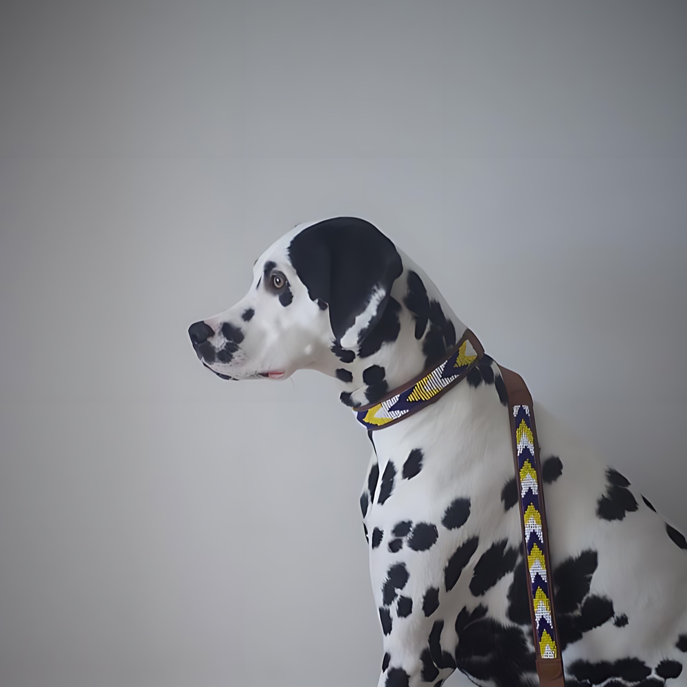 Collar para perros Safari - Image 3
