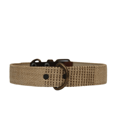 Collar para perros neutro (outlet)