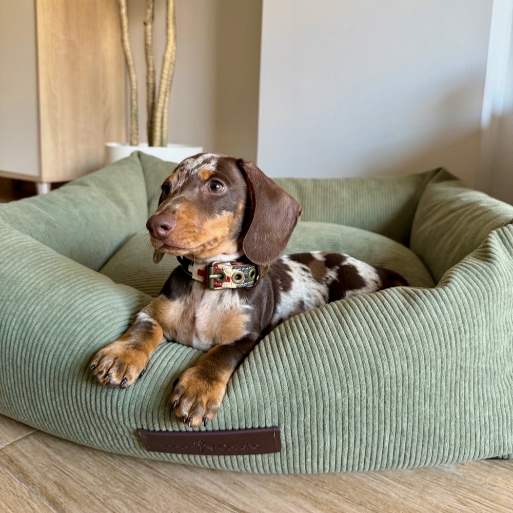 Cama de pana para perros Pradera - Image 2