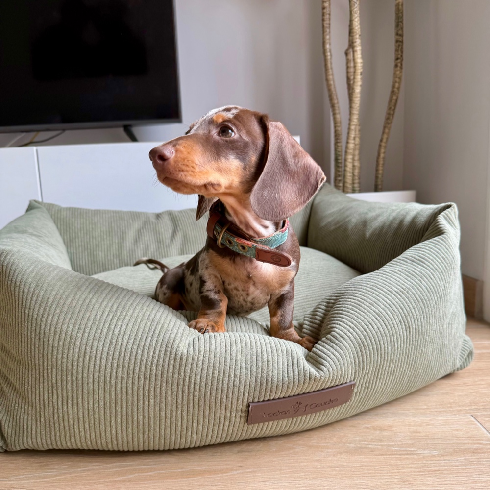 Cama de pana para perros Pradera - Image 4