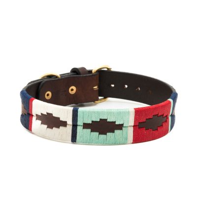 Collar para perros Capi