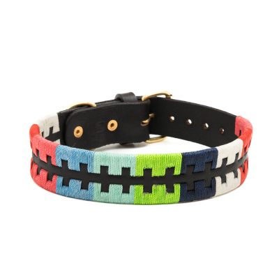 Collar para perros Dogo