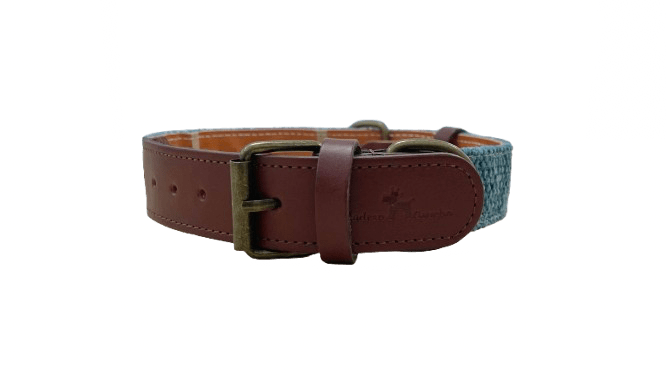 Collar para perros Azul - Image 2