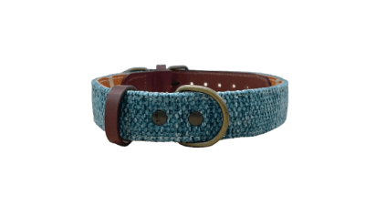 Collar para perros Azul