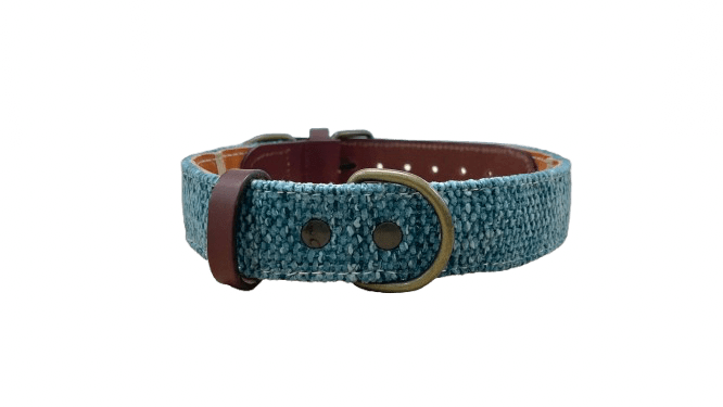 Collar para perros Azul