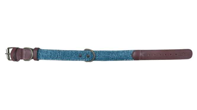 Collar para perros Azul - Image 3