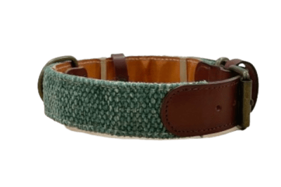 Collar para perros Verde