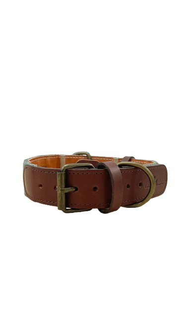 Collar para perros Verde - Image 4