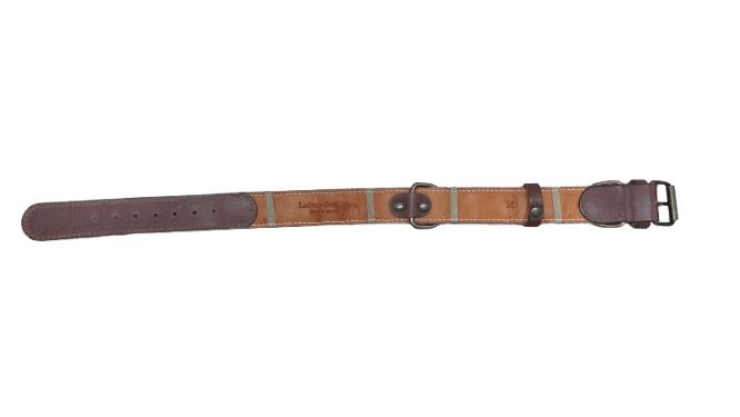 Collar para perros Verde - Image 3