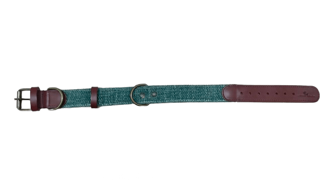 Collar para perros Verde - Image 2