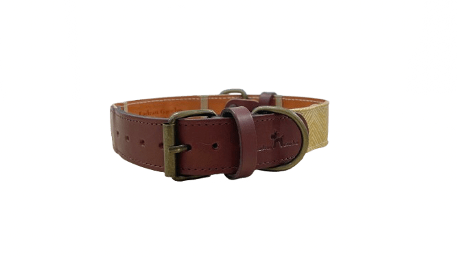 COLLAR PARA PERROS AMARILLO - Image 2